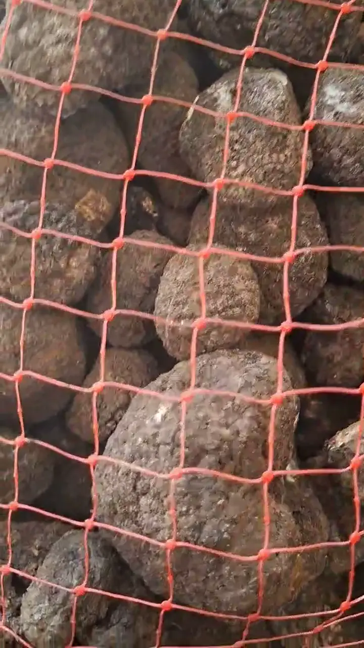 Taze Trüf mantarı, Sakarya ürün videosu