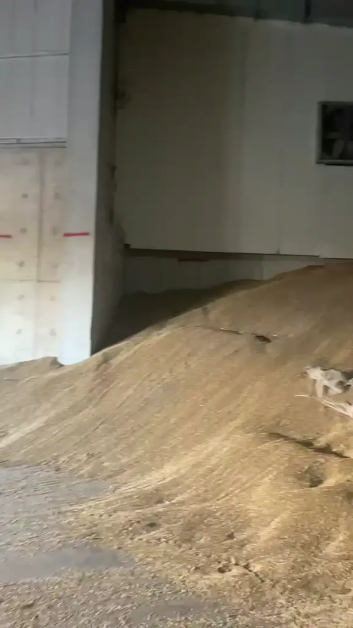 Buğday 11.5 Protein, Mersin ürün videosu