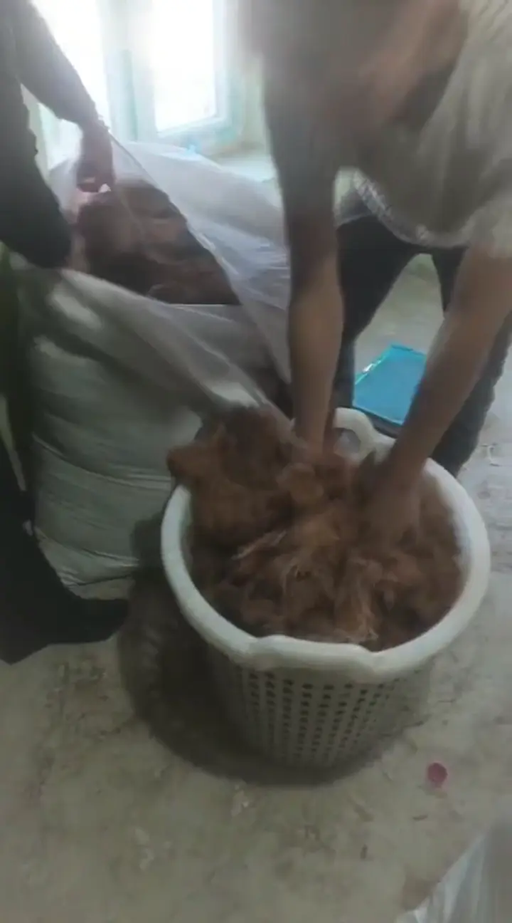 Mısır ürünleri anadolu şifası, Gümüşhane ürün videosu