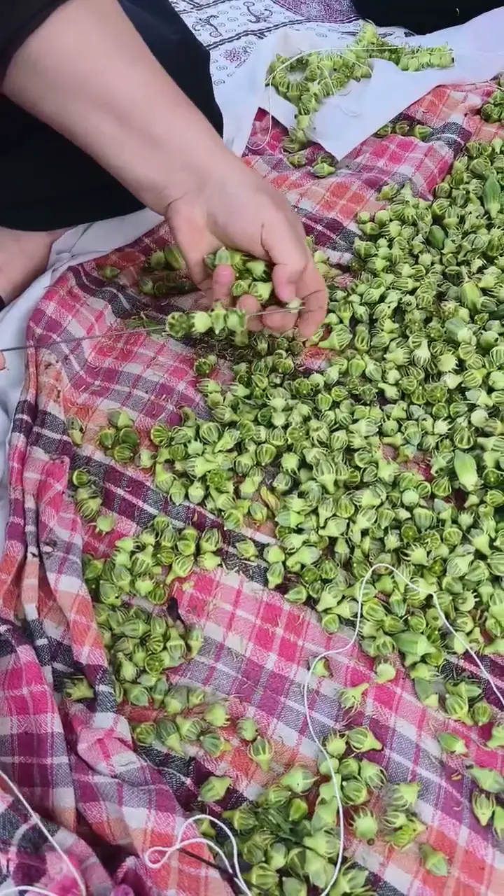 Amasya Kuru Çiçek Bamya, Amasya ürün videosu