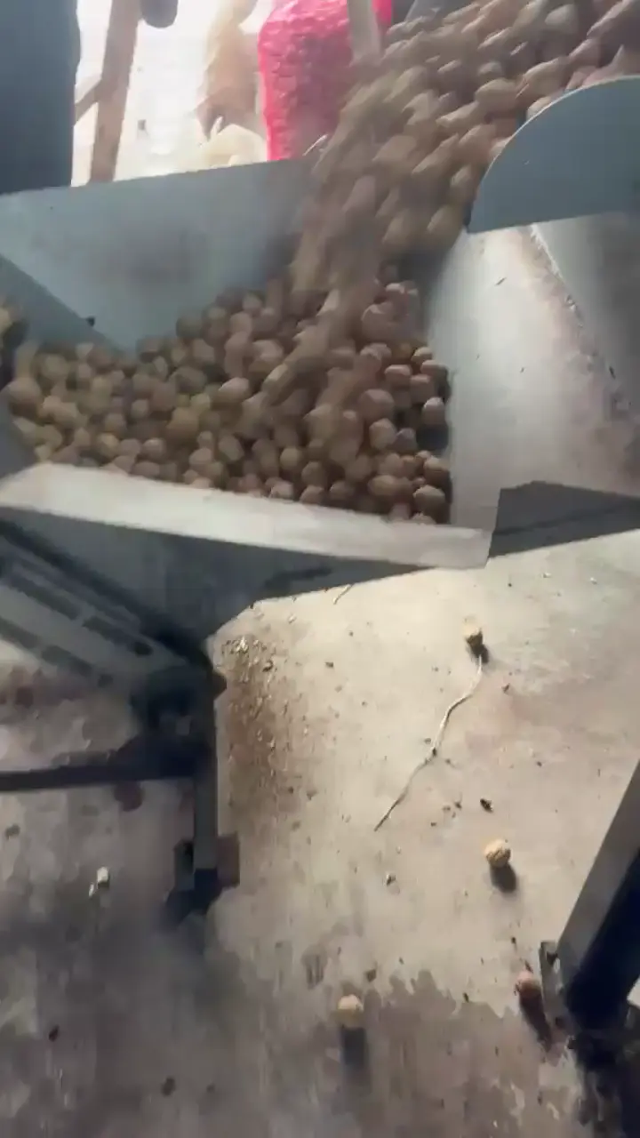 Üreticiden 1,5 Ton Chandler Kabuklu Ceviz – Bilecik/Gölpazarı/Karacalar köyü, Bilecik ürün videosu