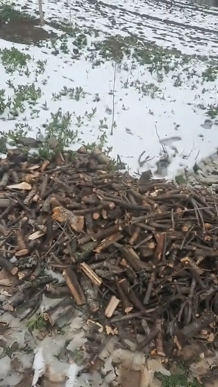 Sobalık Odun Kırma Makinesi, Çorum ürün videosu