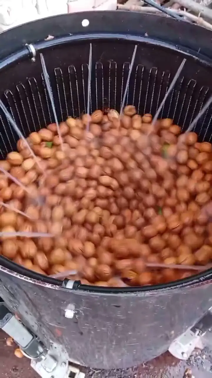 Ceviz, Tokat ürün videosu