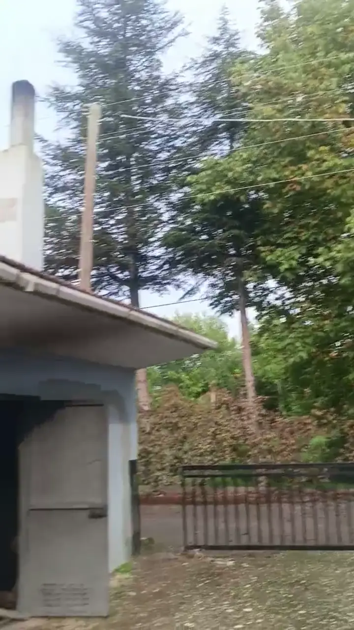 Ceviz ince kabuk, Eskişehir ürün videosu