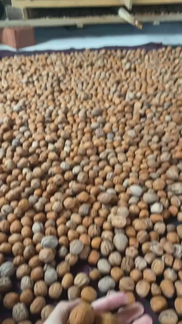 satılık ceviz, Tunceli ürün videosu
