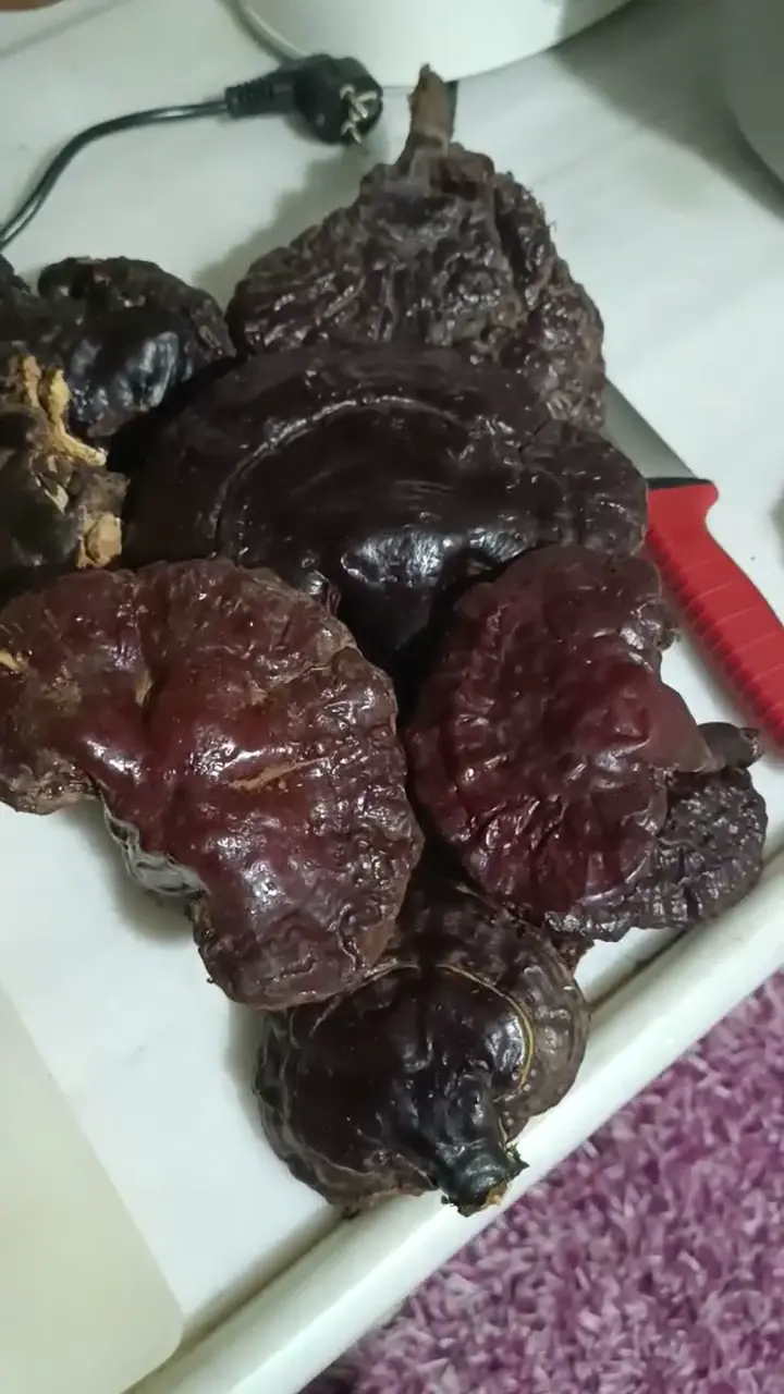 Kurutulmuş reishi mantarı, Adana ürün videosu