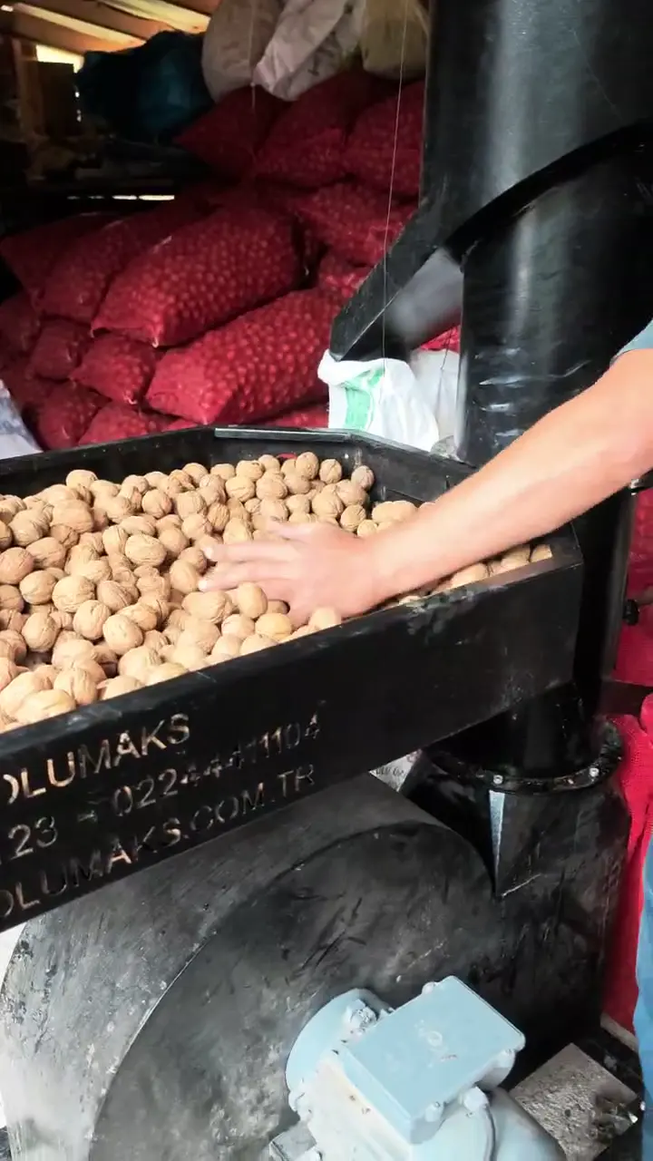 Tokat Niksar cevizi, Tokat ürün videosu