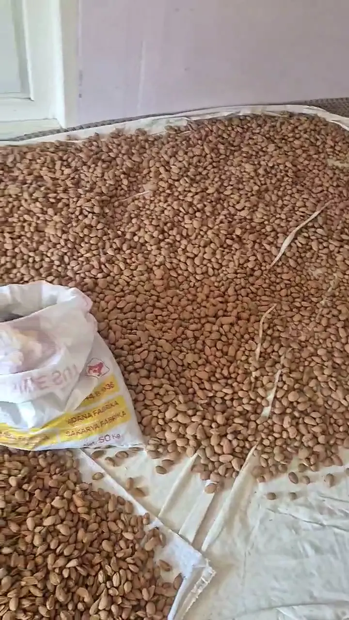 Kalite Amerikan Kabuklu Badem, Isparta ürün videosu