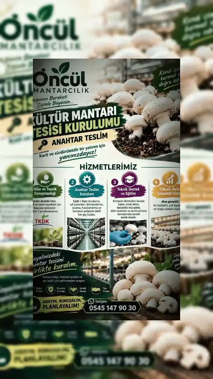 Anahtar teslim kültür mantarı üretim tesisi kurulumu, Yozgat ürün videosu