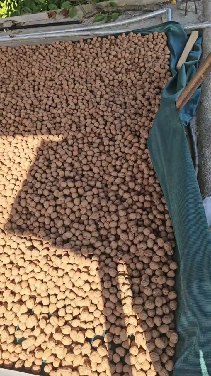 Kuru ceviz, Mersin ürün videosu