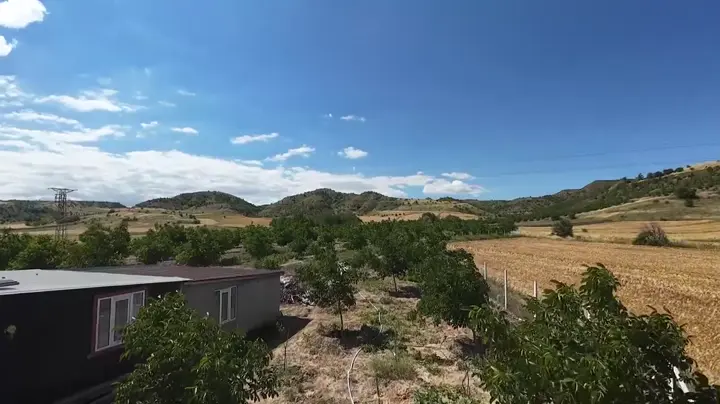 Yerli Üretim Birinci Sınıf Cetner Ceviz – Taze, Kabuklu / İçi Dolu, Amasya ürün videosu