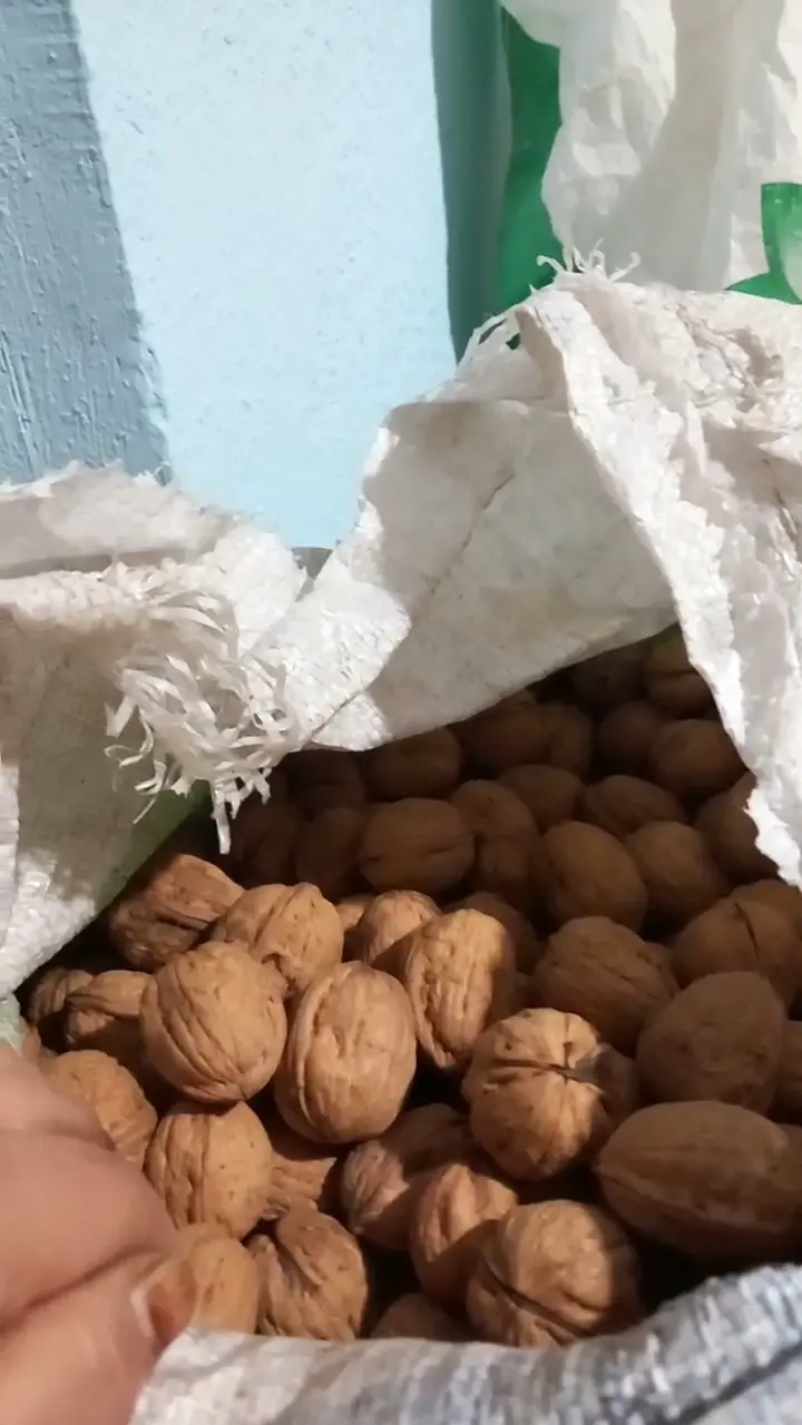 Chandler kurutulmuş ceviz, Afyonkarahisar ürün videosu