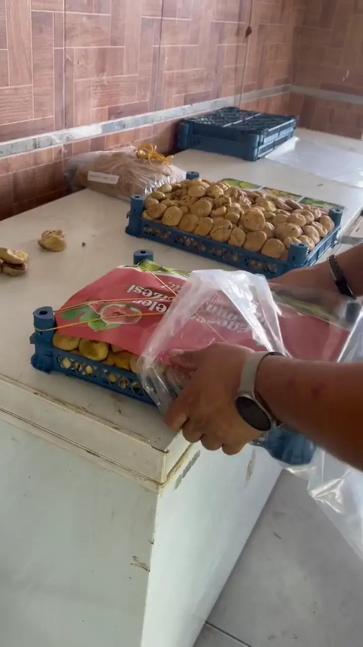 Kuru incir, Aydın ürün videosu